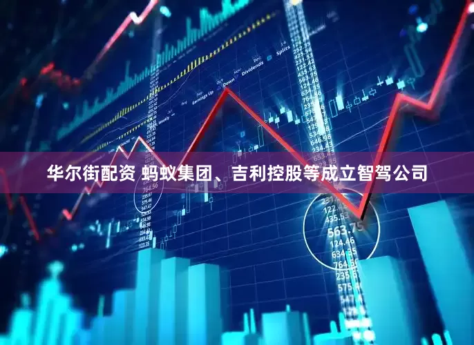 华尔街配资 蚂蚁集团、吉利控股等成立智驾公司