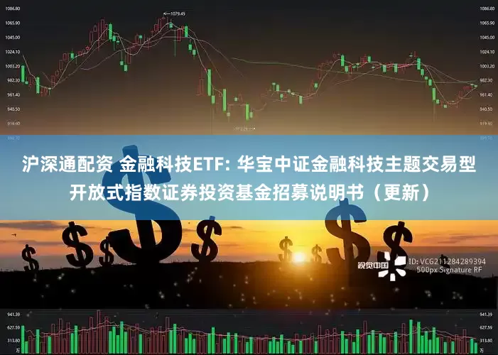 沪深通配资 金融科技ETF: 华宝中证金融科技主题交易型开放式指数证券投资基金招募说明书(更新)