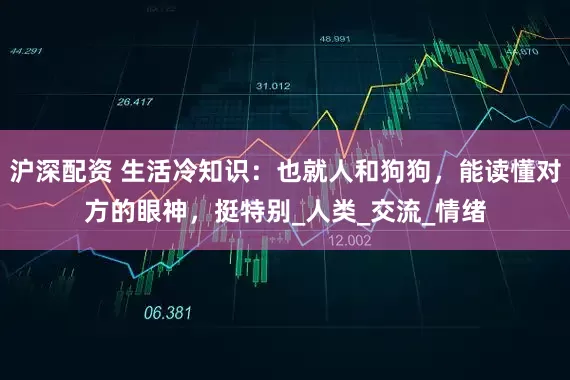 沪深配资 生活冷知识：也就人和狗狗，能读懂对方的眼神，挺特别_人类_交流_情绪